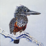Giant Kingfisher Sold Carole Durrant Carole Durrant Wilderness Art Festival