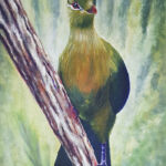 Loerie – R1 200 Loerie Carole Durrant Wilderness Art Festival