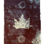 Janet Botes Wilderness Art Festival
