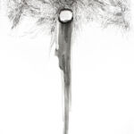 Janet Botes Wilderness Art Festival