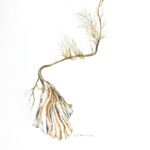 Janet Botes Wilderness Art Festival