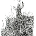 Janet Botes Wilderness Art Festival