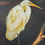 Egret R12 000 Carole Durrant Carole Durrant Wilderness Art Festival in Wilderness